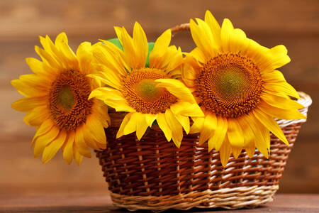 Sonnenblumen in einem Korb auf dem Tisch