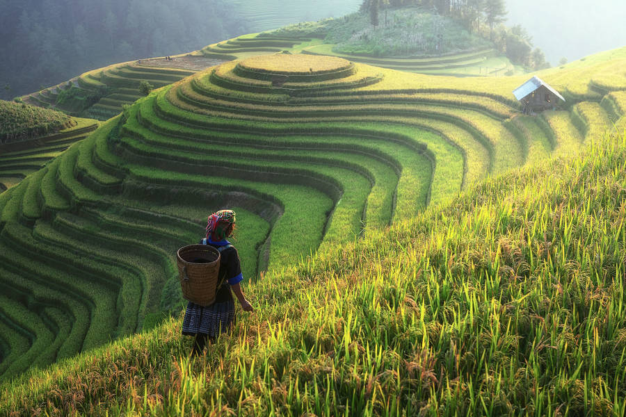 Soulful Sunday Heita FM Online Radio Box