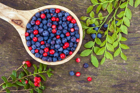 Blaubeeren und Preiselbeeren