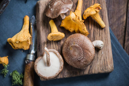 Champignons forestiers sur une planche à découper