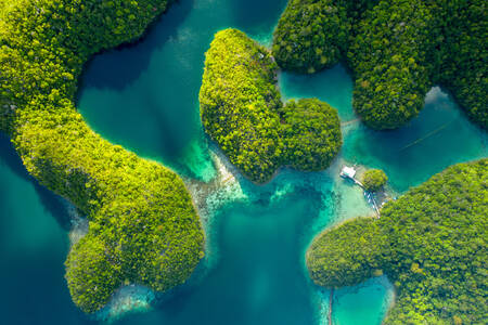 Sugba Lagoon in Siargao