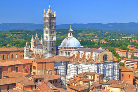 Cathedral in Siena