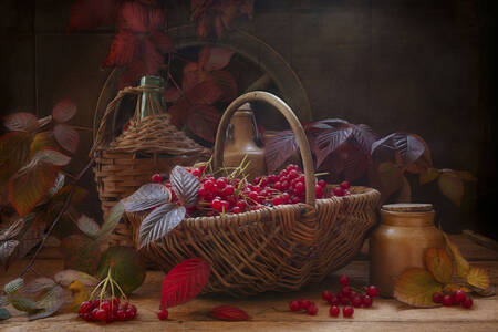 Korpa sa bobičastim voćem