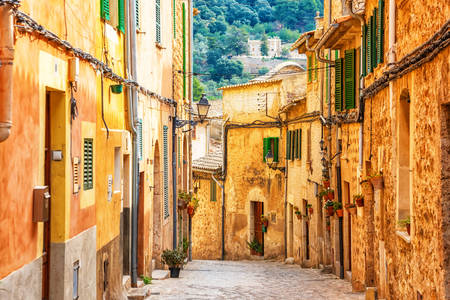 Jalan desa Valldemosa