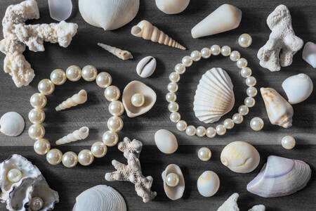 Bracelets de perles et coquillages