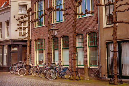 Des vélos dans la rue à Leiden