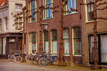 Bicycles on the street in Leiden