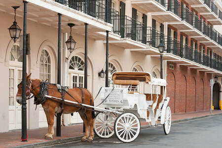 Kočije sa konjima u Nju Orleansu
