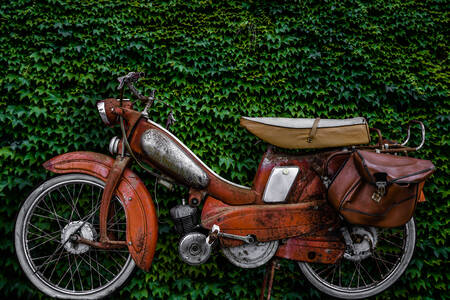 Vintage francouzský moped