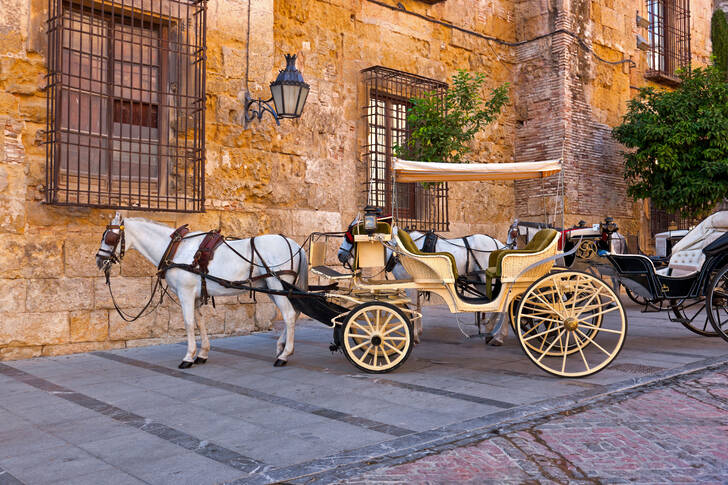 Traditional cart in Cordoba