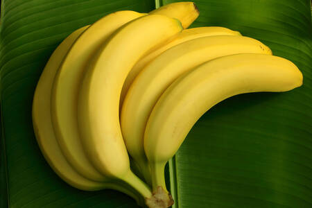 Bananes sur une feuille de palmier