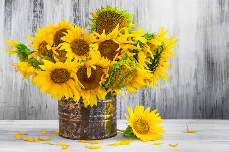 Bouquet of sunflowers in a jar