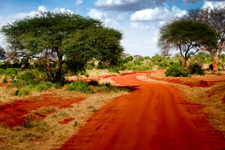 Route sablonneuse au Kenya