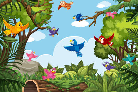 Burung-burung di hutan