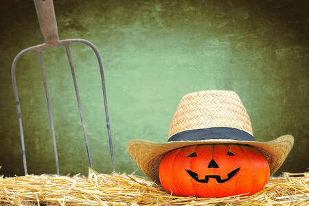 麦わら帽子をかぶったカボチャ