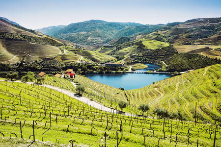 Lembah Douro