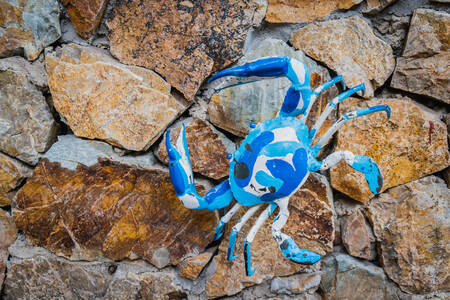 Blå krabbe på en sten