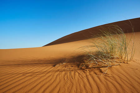 Sivatag