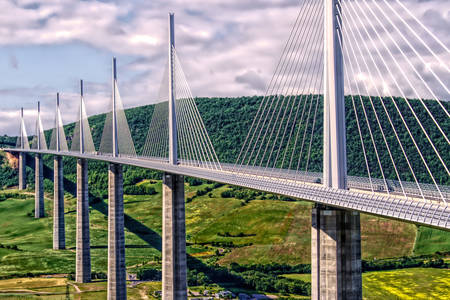 Puente atirantado - Viaducto Miyo