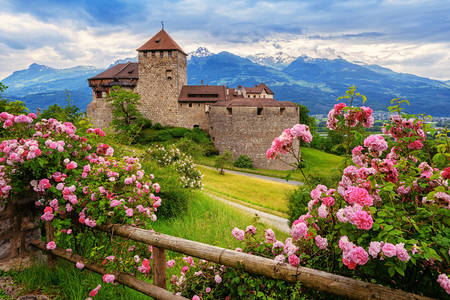Blick auf die Burg von Vaduz