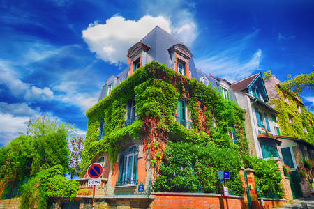 A borostyánnal fonódó párizsi épület homlokzata