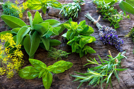 Fresh herbs on the table