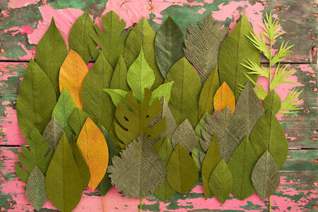 Paper leaves