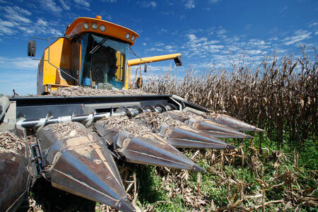 Corn harvester