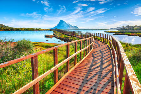 Walking path to the beach