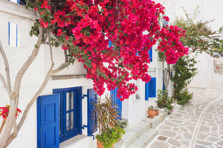 Calle en la isla de Paros