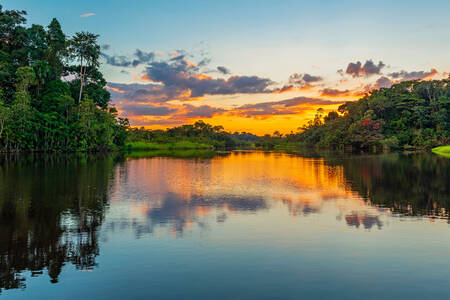 The Amazon River at sunset