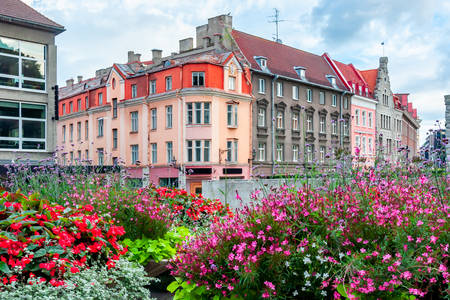 Tallinn no verão