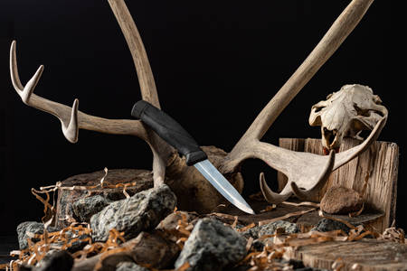 Hunting knife and antlers