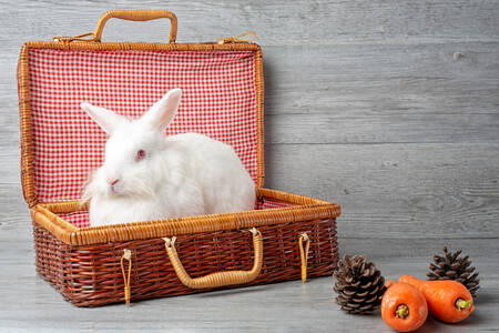 Кролик в корзине для пикника