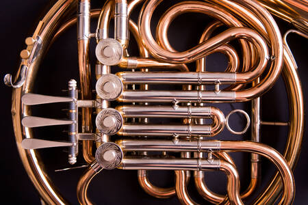 French horn close-up