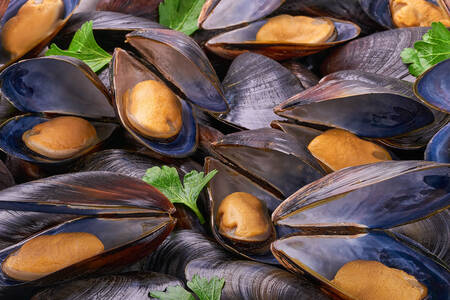 Black mussels with herbs