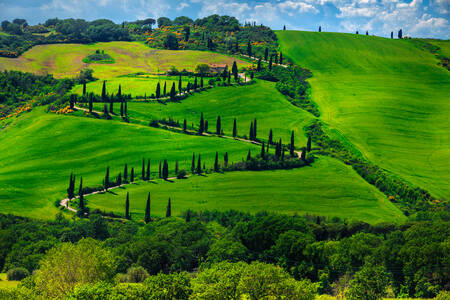 Winding road in Tuscany