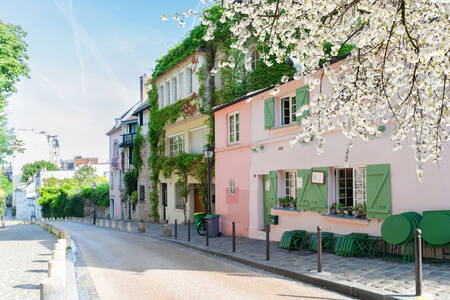 Pariser Straße im Frühling