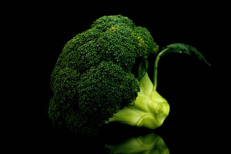 Organic broccoli on black background