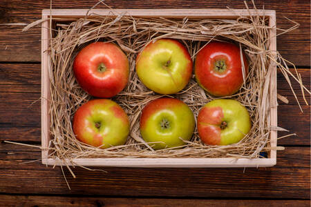 Manzanas en una caja