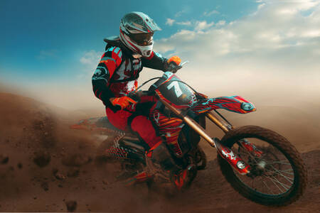 Motorcyclist