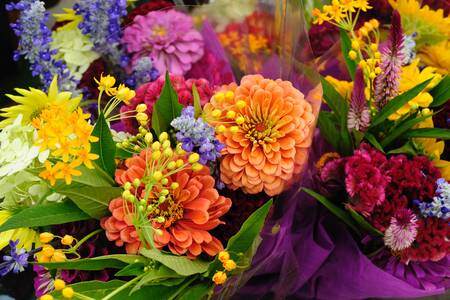 Bouquets of fresh flowers