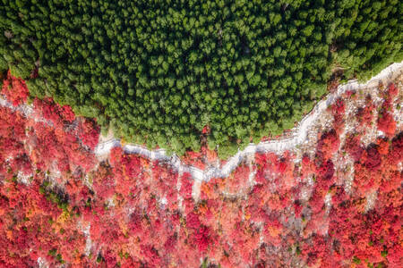 Aerial view of Jinan Nanshan Park