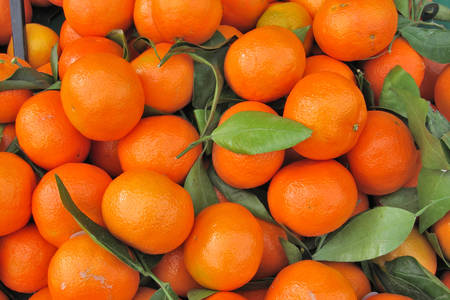 Naranjas clementinas