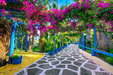 Belles rues pavées de Crète
