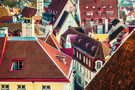 Toits de tuiles de Tallinn