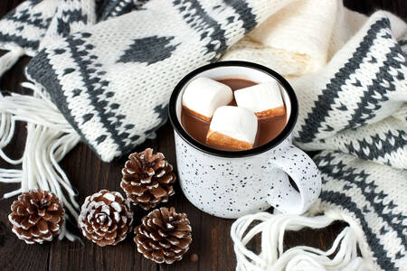 Hot chocolate and knitted scarf