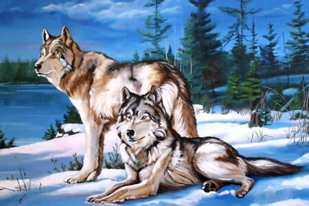 Вовки на снігу