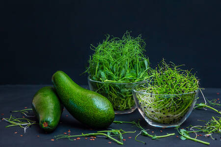 Microgreens and avocado
