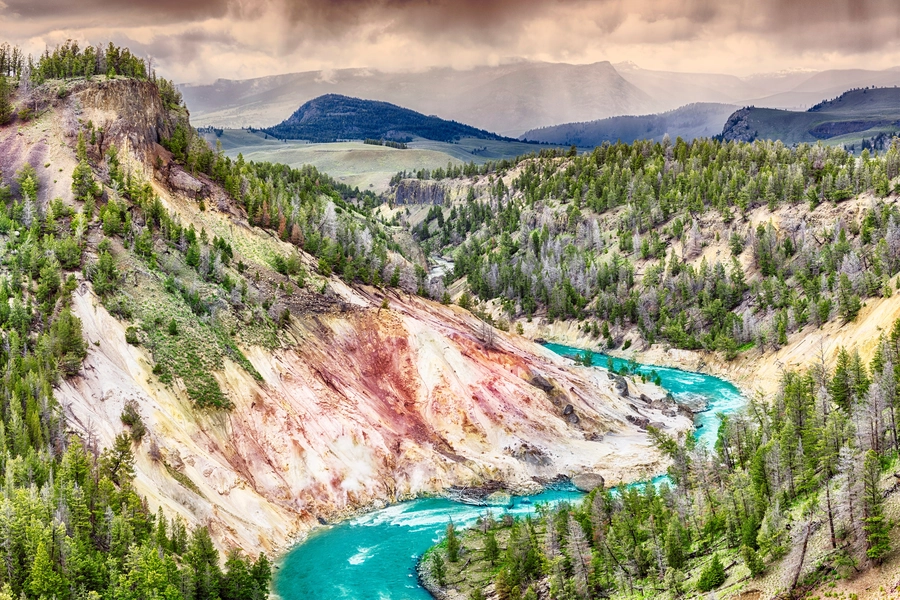Widok na rzekę Yellowstone